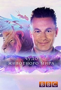 Смотреть сериалы про ведьм 2018 Смотреть сериалы про ведьм 2018