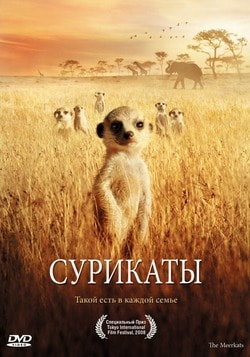 Фильмы про супергероев 2018 года Фильмы про супергероев 2018 года
